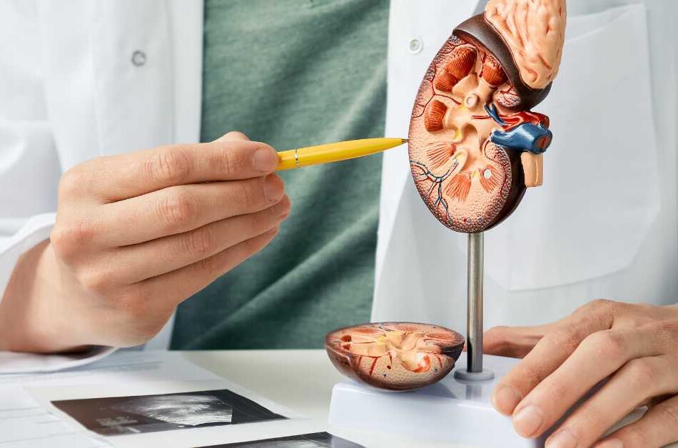 SSD Benefits for Kidney Disease